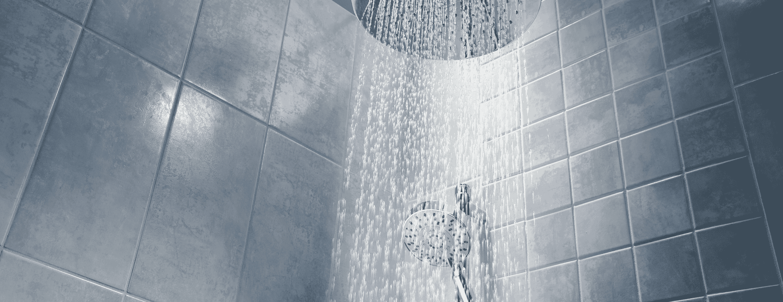 Seattle Tub to Shower Conversion